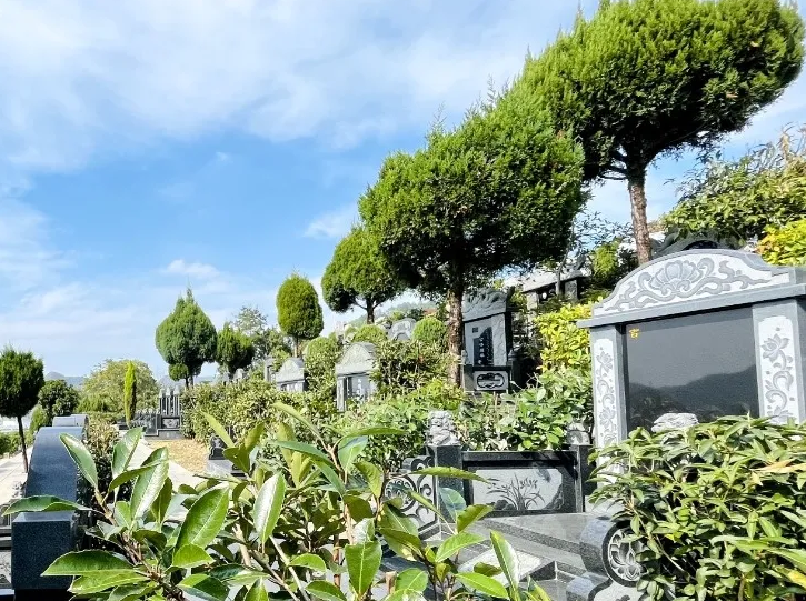 壹定发(中国游)官方网站