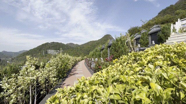 壹定发(中国游)官方网站