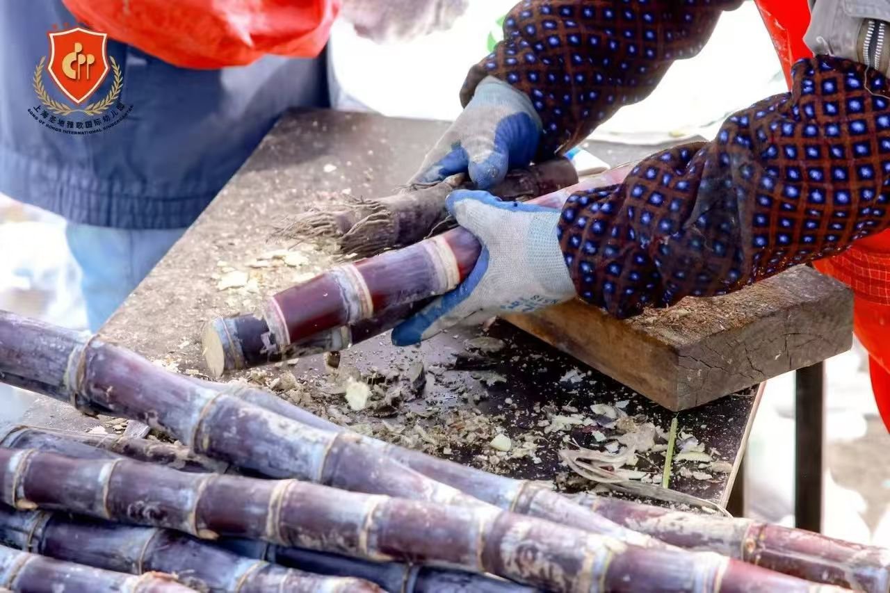 壹定发(中国游)官方网站