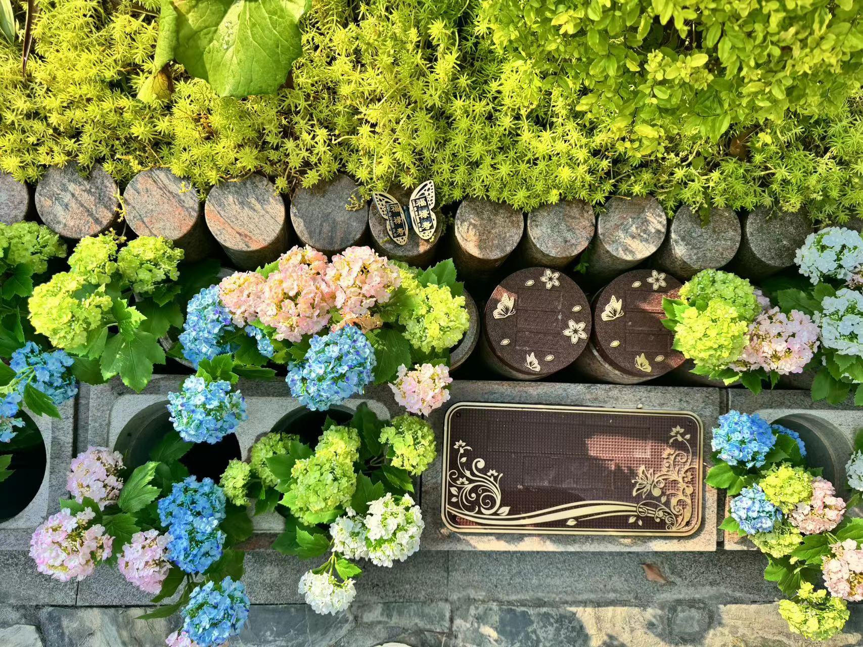 壹定发(中国游)官方网站