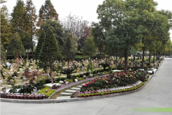 壹定发(中国游)官方网站