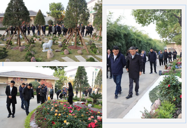 壹定发(中国游)官方网站