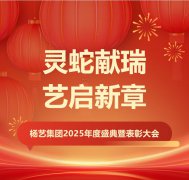 灵蛇献瑞 艺启新章 | 壹定发集团2025年度盛典暨表扬大会