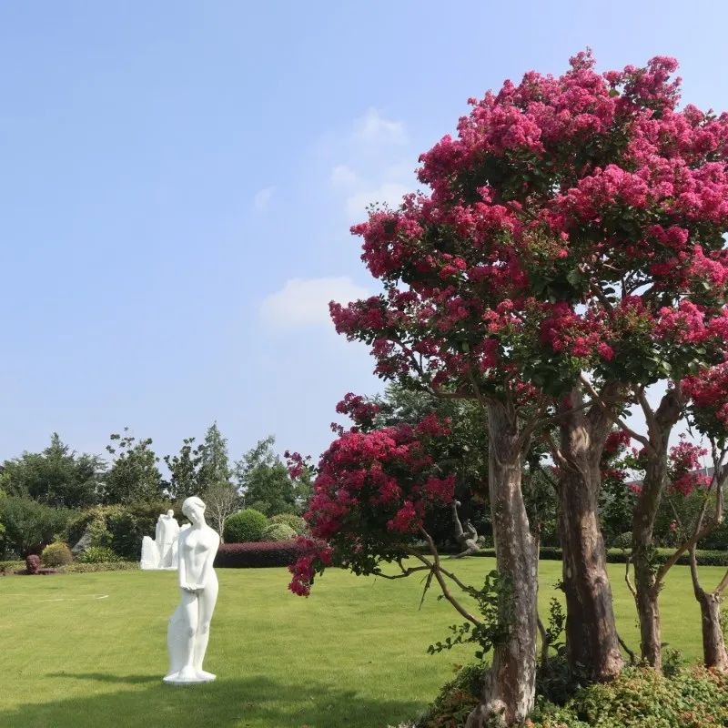 壹定发(中国游)官方网站