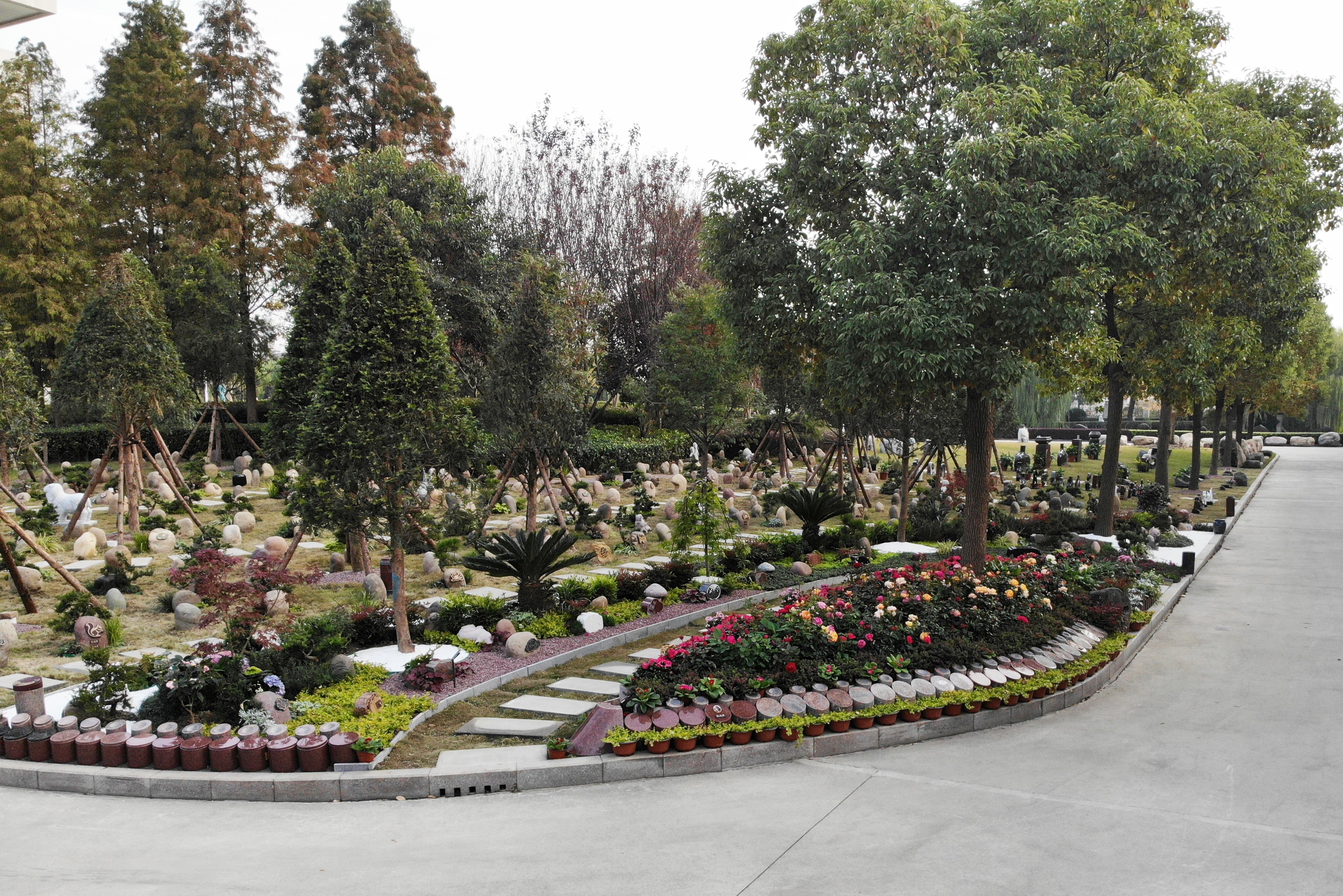 壹定发(中国游)官方网站