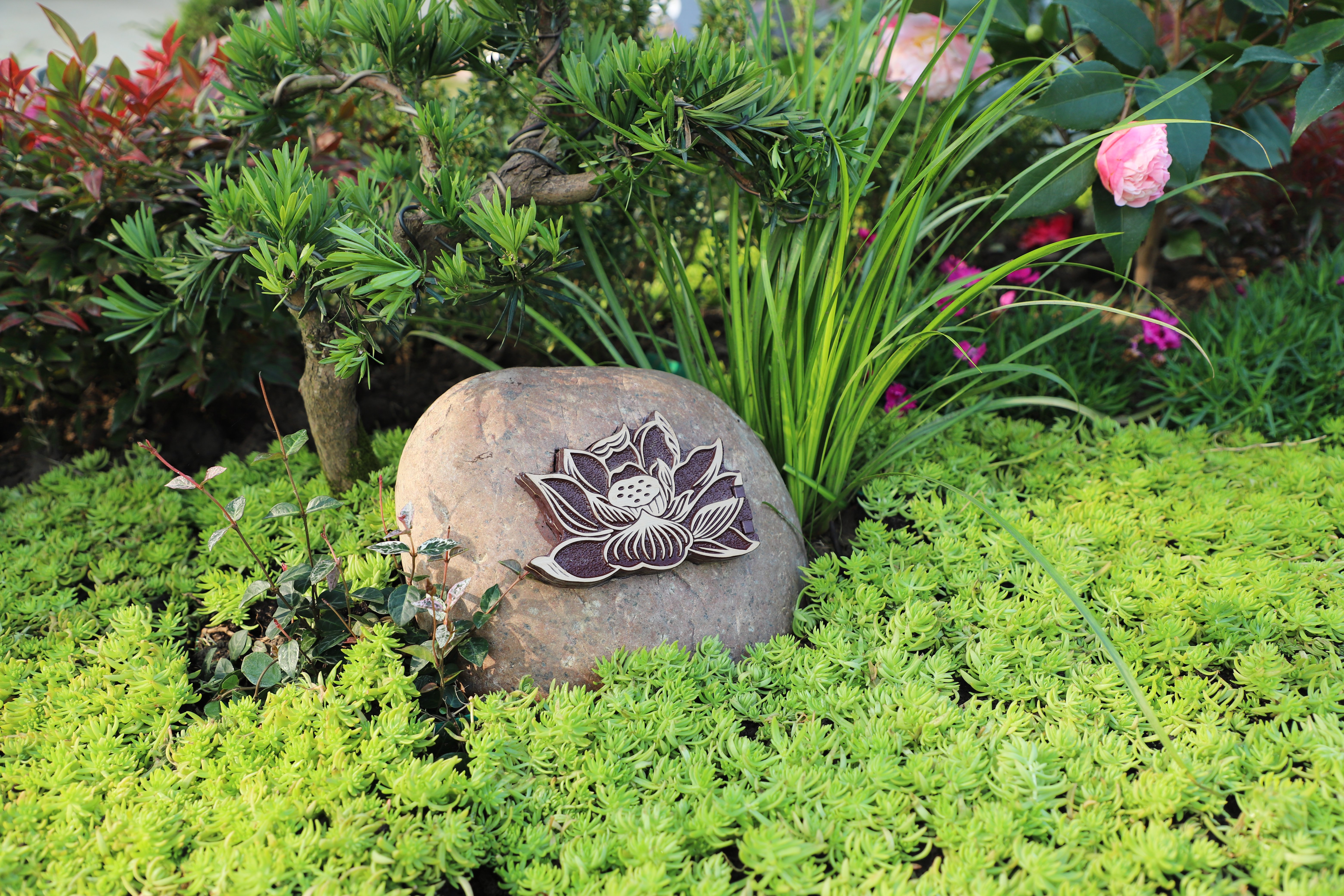 壹定发(中国游)官方网站