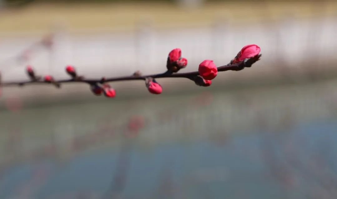 壹定发(中国游)官方网站