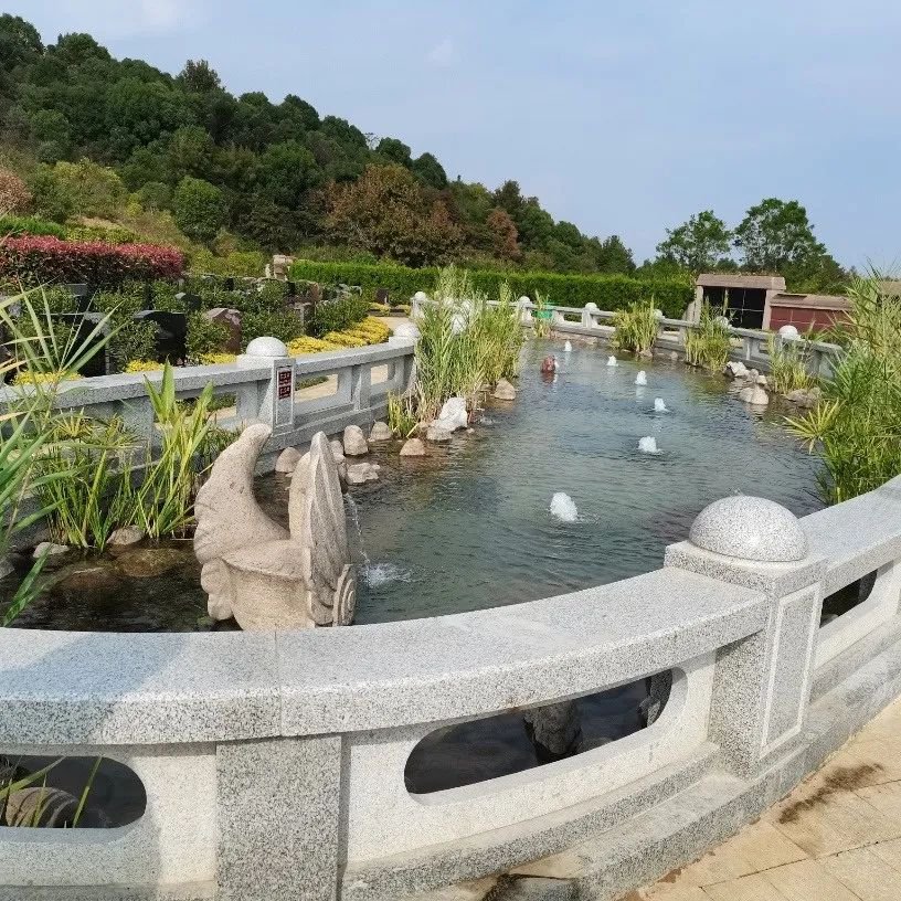 壹定发(中国游)官方网站