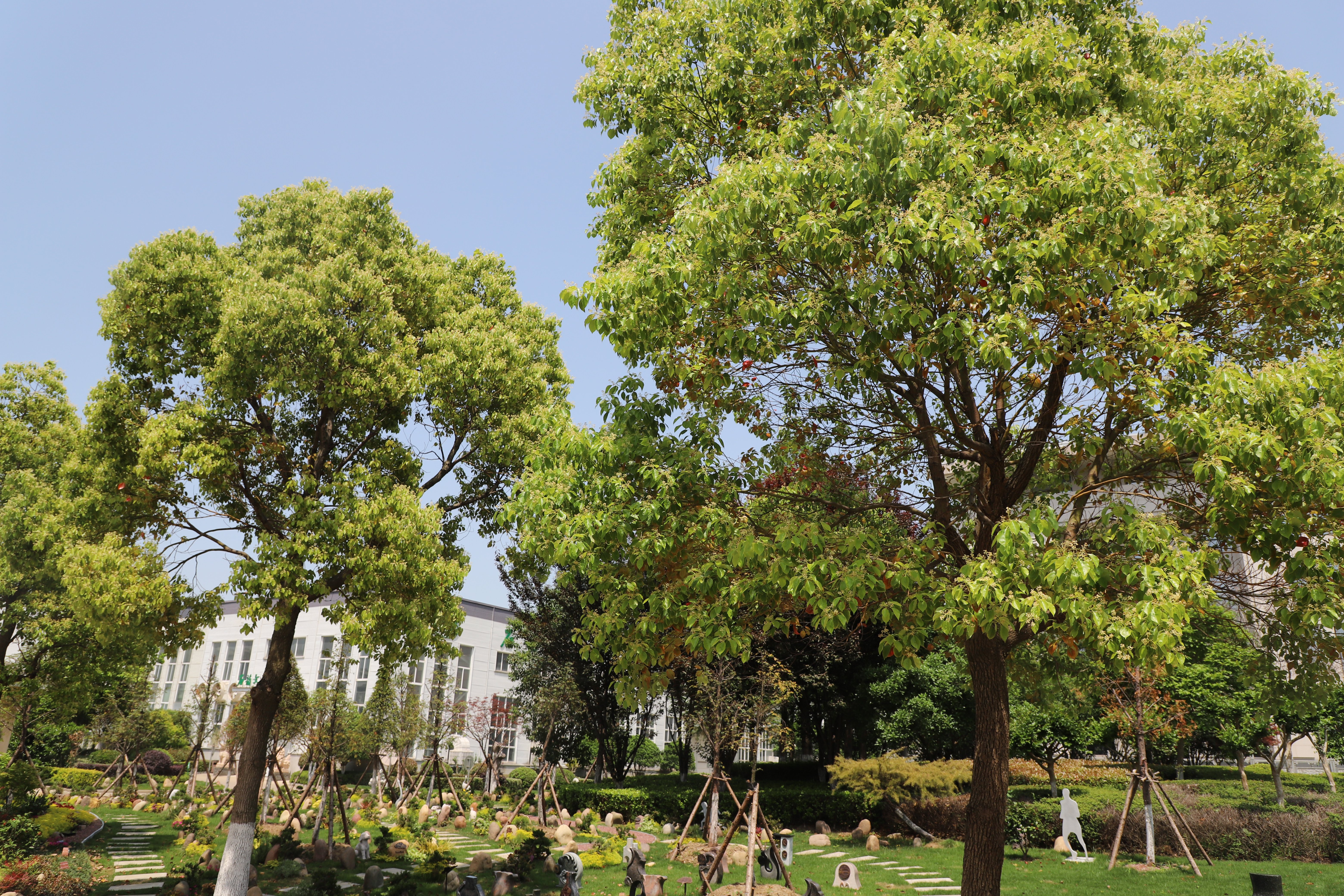 壹定发(中国游)官方网站