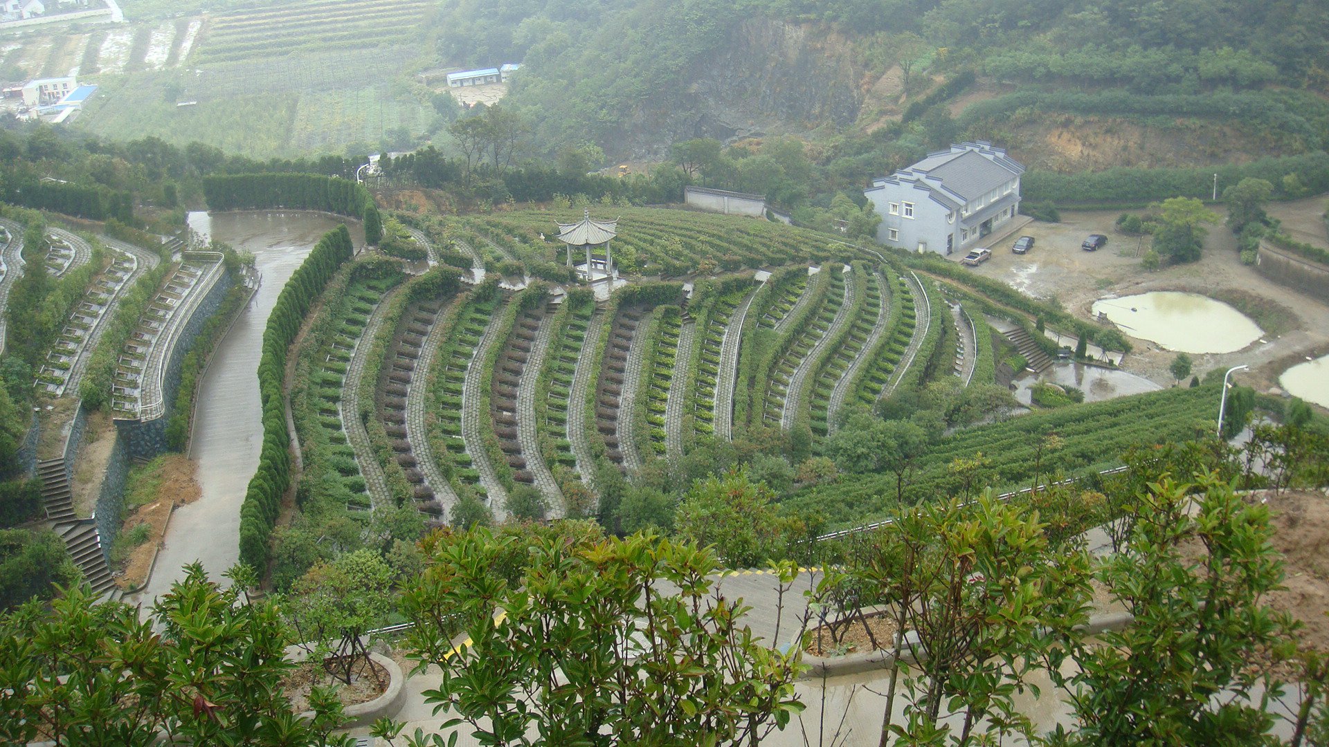 壹定发(中国游)官方网站