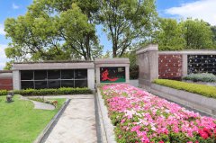 归于天然，泽被后世：解读现代生态葬及其创新趋向