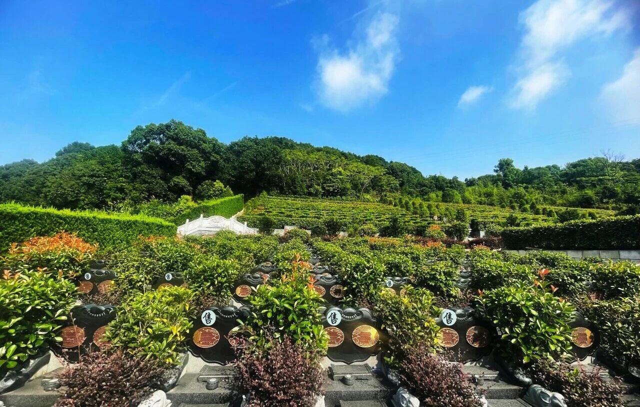 壹定发(中国游)官方网站