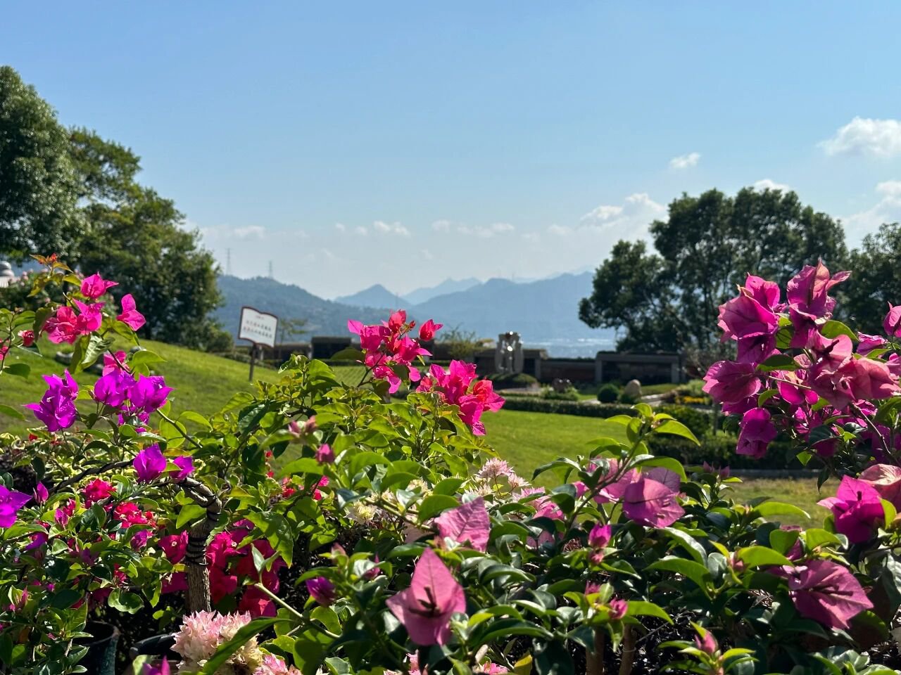 壹定发(中国游)官方网站