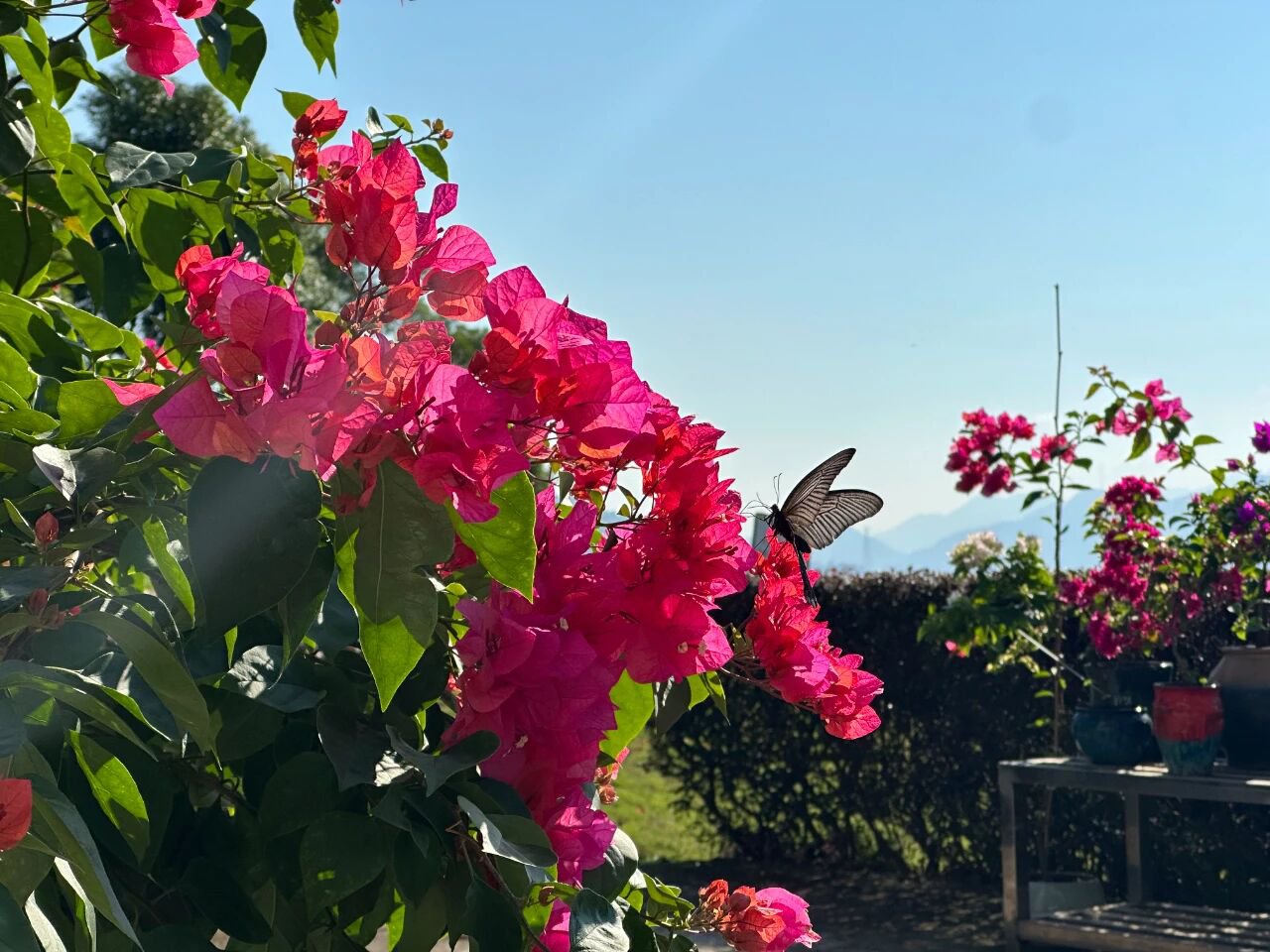 壹定发(中国游)官方网站