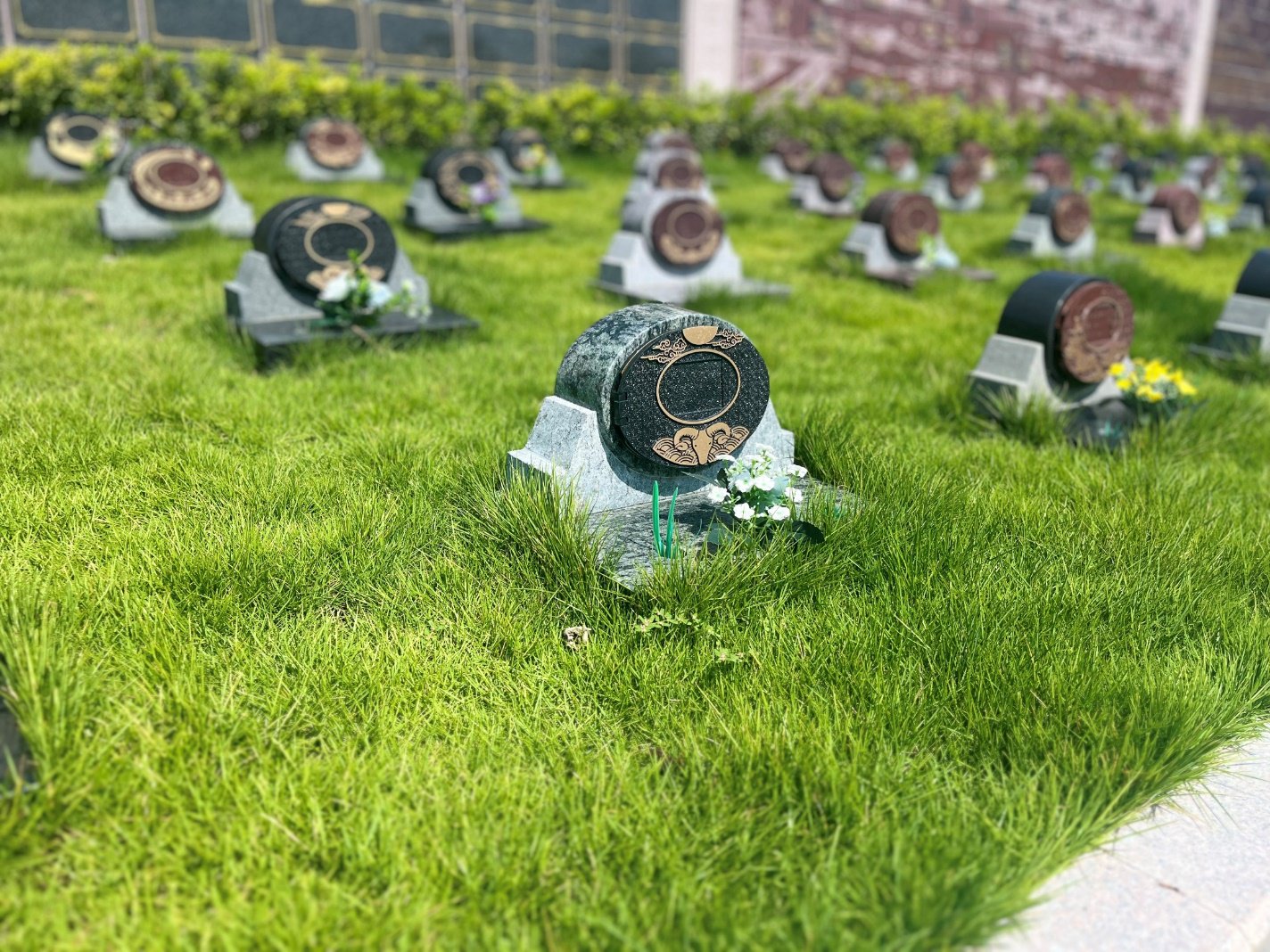 壹定发(中国游)官方网站