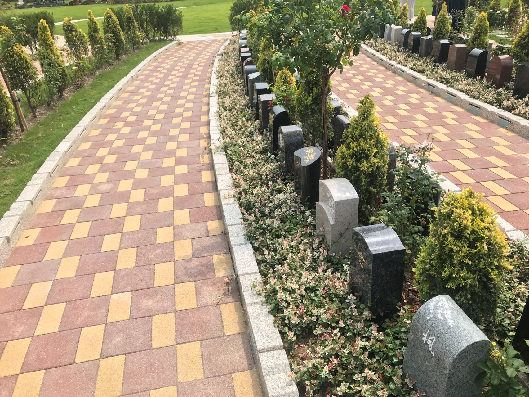 壹定发(中国游)官方网站