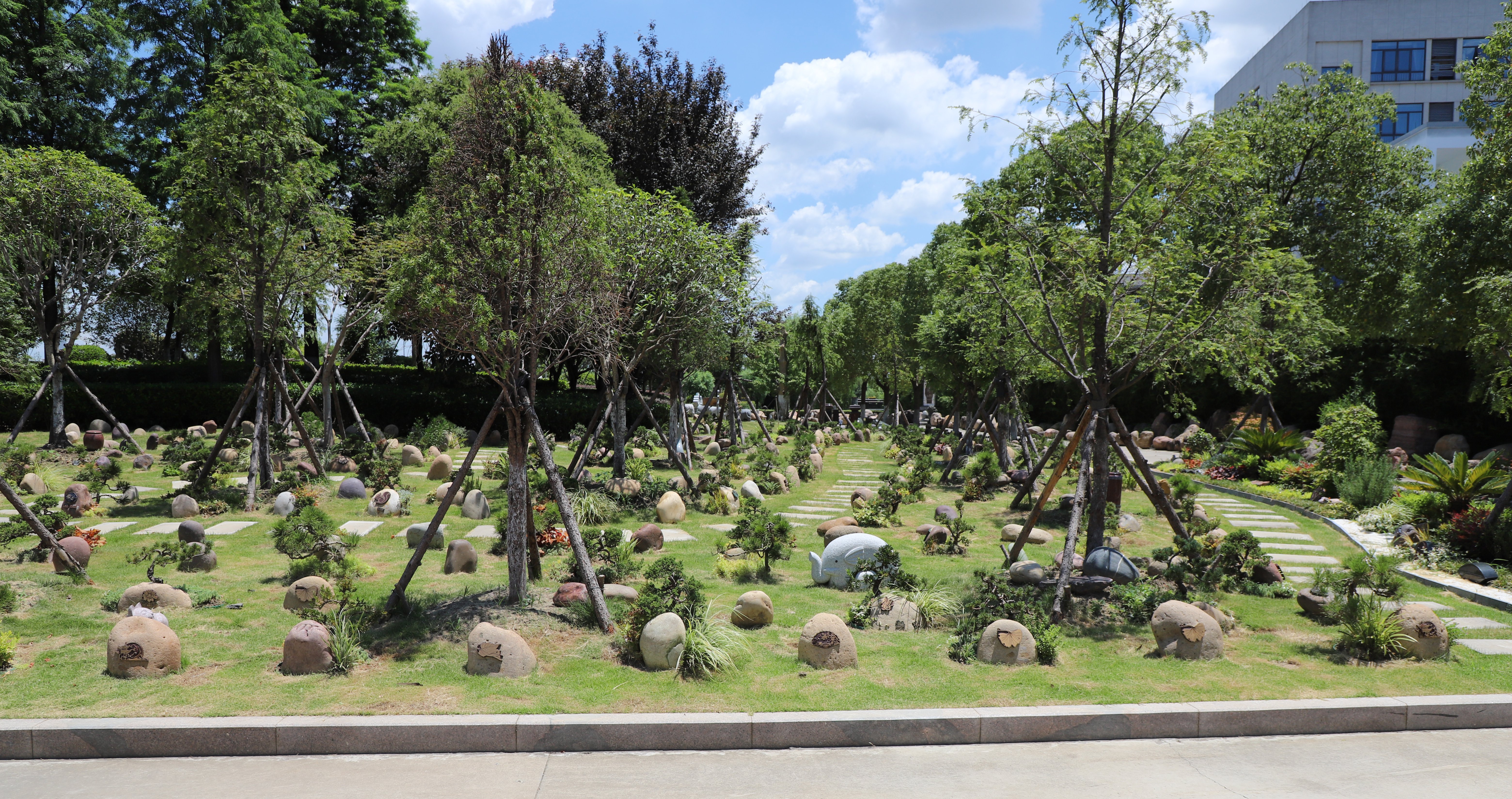 壹定发(中国游)官方网站